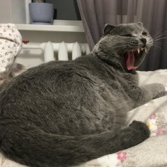 Ти не ти коли йдеш купутись
