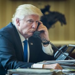 Трамп укупник