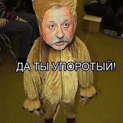Упоротые якубовичи