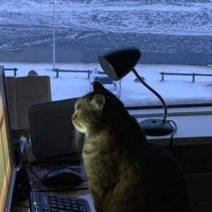 Время офигительных историй