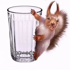 Белочка
