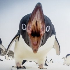 Ей