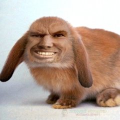 К Р О Л Л