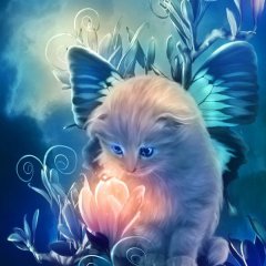 Кот