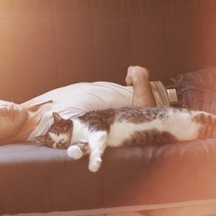 Парень и кот