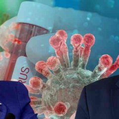 Pelosi-trump
