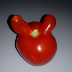 Помидор с ушами