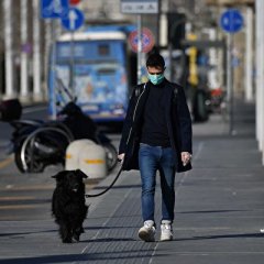 Собака человек