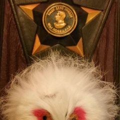 Soviet owl