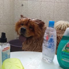 Водные процедуры