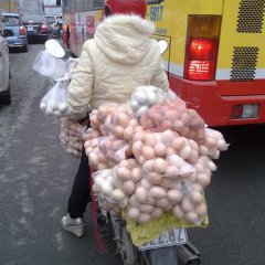 Яйца