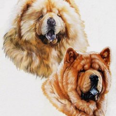Жён любишь преимущественно чужих