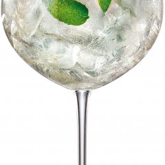 Gin and Tonic