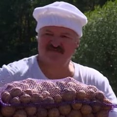Картошка