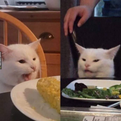Кот за столом