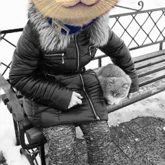 Которетро