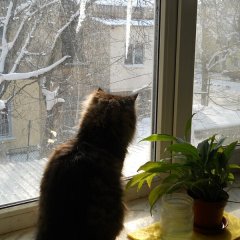 Окно