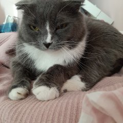 Павел Котик