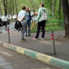 Свиноматка