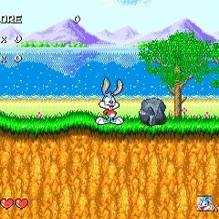 Tiny Toon
