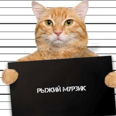Трол