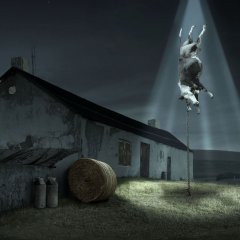 UFO - Cattle