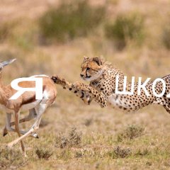 Я школа