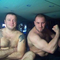 Животные