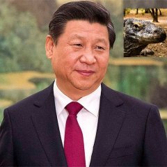 Чёткий ящер