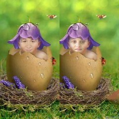 Две феи колокольчиковые