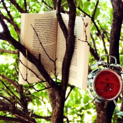 Книга на дереве