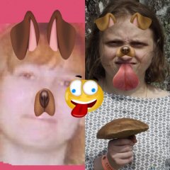 Мы дарим вам