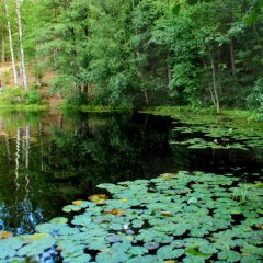 Озеро Тараскуль