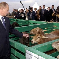 Политика