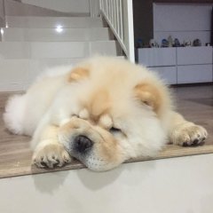Я - скучау Дней уже не замечау