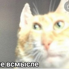 Аче всмысле