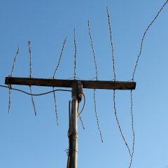Антенна