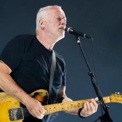 David Gilmour