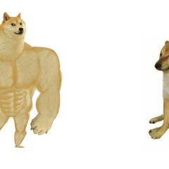 Доги