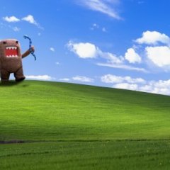 Domo против xp