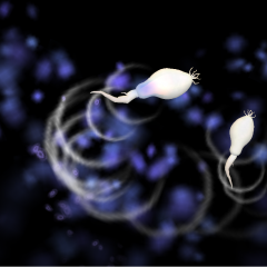 ЕСпрма в Spore