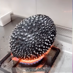 Grilled durian