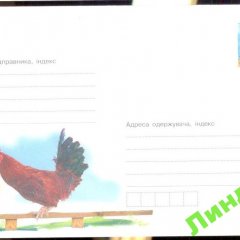 Конверт петух 45 копеек Линдон