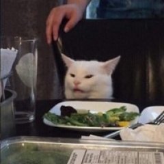 Кот