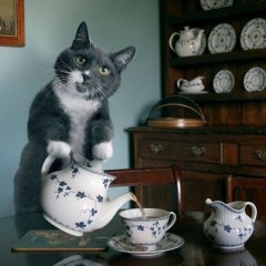 Котэ