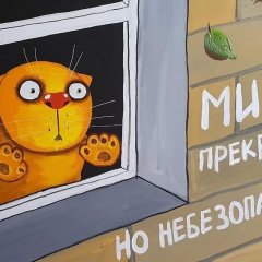 Коте