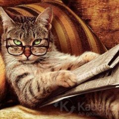 Котвопрос