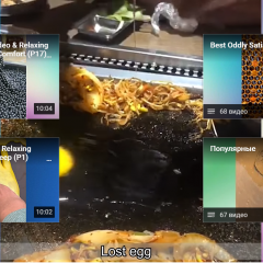 Lost egg