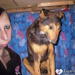 Не по масти