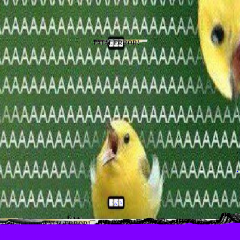 ОшибкааааааааааааааКуку203846510